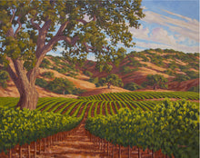 Load image into Gallery viewer, Oak in Vineyard 50" x 40" Original Oil