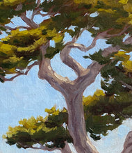 Load image into Gallery viewer, On the Cliff's Edge 11" x 24" Original Oil