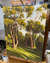 Load image into Gallery viewer, San Dieguito Golden Hour 11" x 14" Original Oil