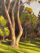 Load image into Gallery viewer, San Dieguito Golden Hour 11" x 14" Original Oil