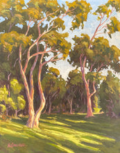 Load image into Gallery viewer, San Dieguito Golden Hour 11" x 14" Original Oil