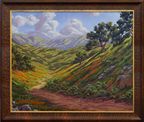 Rolling hills of California's backcountry with oaks and poppies.