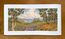 Load image into Gallery viewer, California Color 24" x 11"