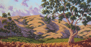 California Hill Country Commission 72" x 36"