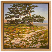Load image into Gallery viewer, Carlsbad Cypress 8.5" x 8.5"