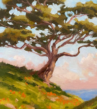 Load image into Gallery viewer, Torrey Pine Cliffside - Oil on Canvas Board 7" x 12"
