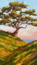 Load image into Gallery viewer, Torrey Pine Cliffside - Oil on Canvas Board 7" x 12"