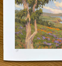 Load image into Gallery viewer, California Color 24" x 11"