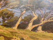 Load image into Gallery viewer, Morning Light La Jolla Giclée