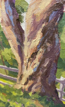 Load image into Gallery viewer, Eucalyptus Study Rancho Santa Fe 8" x 14.5"