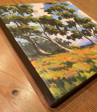 Load image into Gallery viewer, La Jolla Hillside #2