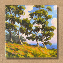 Load image into Gallery viewer, La Jolla Hillside #2