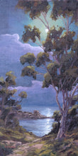 Load image into Gallery viewer, La Jolla Nocturne 12" x 24"