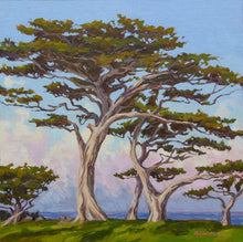 Load image into Gallery viewer, Monterey Cypress Morning Light - 16" x 16" Original Oil