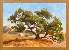 Load image into Gallery viewer, Oak on California Hillside - Oil on Carton treated paper 5" x 7"