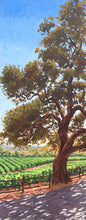 Load image into Gallery viewer, Oak tree and Napa Valley Vineyard, dappled light