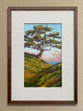Load image into Gallery viewer, Torrey Pine Cliffside - Oil on Canvas Board 7" x 12"