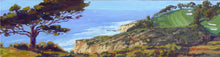 Load image into Gallery viewer, Torrey Pines View