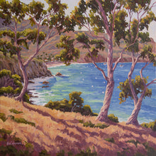 Load image into Gallery viewer, Two Harbors Catalina 17" x 17"