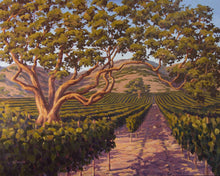 Load image into Gallery viewer, Vineyard at Dusk 50" x 40"