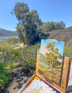 Batiquitos Lagoon Trail - Plein Air Oil 12" x 16"