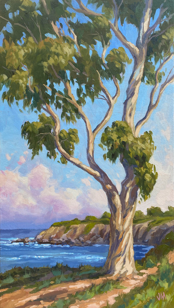Cliffside Eucalyptus Morning Light - 8 1/2