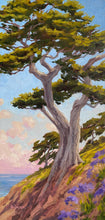 Load image into Gallery viewer, On the Cliff&#39;s Edge 11&quot; x 24&quot; Original Oil
