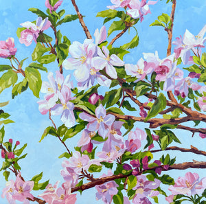 Apple Blossoms 18" x 18"