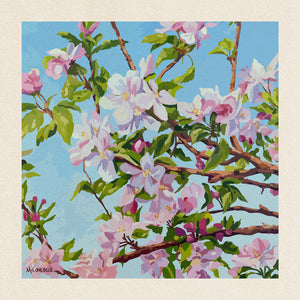 Apple Blossom Giclée Prints