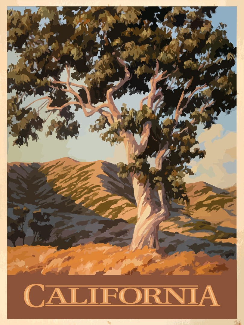 Classic California Eucalyptus Giclée Print on Fine Art Paper