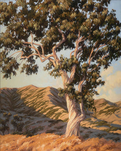 California Color Giclée on Canvas