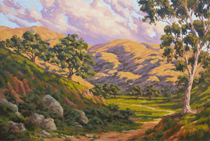 California Hill Country Commission 36" x 24"
