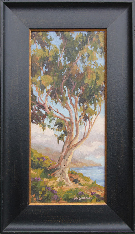 Eucalyptus Cliffside
