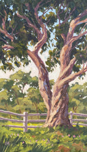 Load image into Gallery viewer, Eucalyptus Study Rancho Santa Fe 8&quot; x 14.5&quot;
