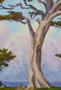 Monterey Cypress Morning Light - 16" x 16" Original Oil