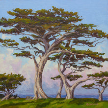 Load image into Gallery viewer, Monterey Cypress Morning Light - 16&quot; x 16&quot; Original Oil
