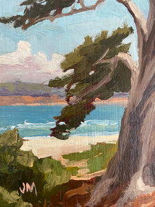 Monterey cypress 4" x 8"