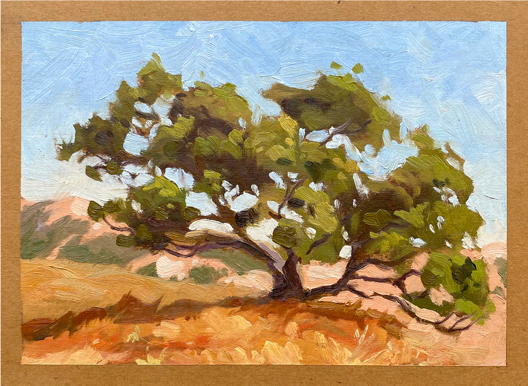 Oak on California Hillside - Oil on Carton treated paper 5