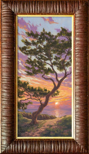Sunset with Torrey Pine