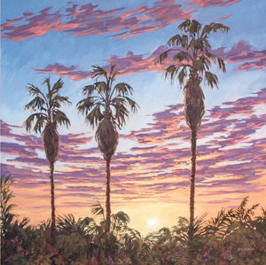 Three Palm Sunset 48" x 48"