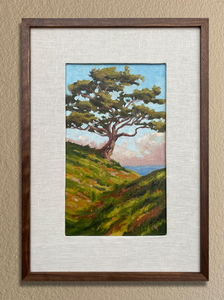 Torrey Pine Cliffside - Oil on Canvas Board 7" x 12"