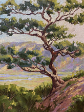 Load image into Gallery viewer, Torrey Pine Over the Reserve 9&quot; x 12&quot;
