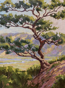 Torrey Pine Over the Reserve 9" x 12"