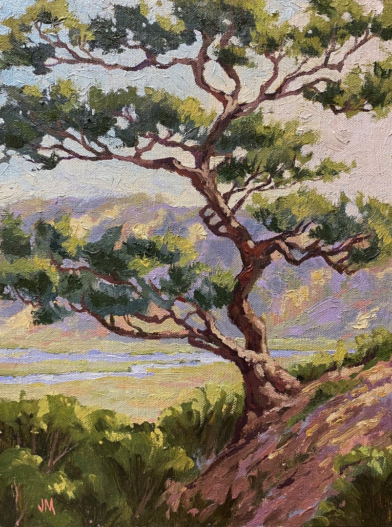 Torrey Pine Over the Reserve 9
