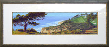 Load image into Gallery viewer, Torrey Pines View
