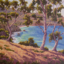 Load image into Gallery viewer, Catalina Two Harbors Giclée on Canvas
