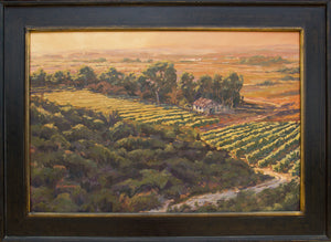 Vineyard at Sunset 36" x 24"